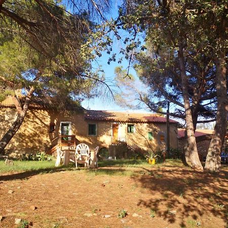 Maison Entiere Hameau Monastir Del Camp Passa ภายนอก รูปภาพ